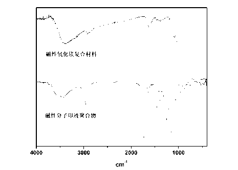 Method for preparing magnetic magnesium oxide surface molecular imprinting solid phase extractant