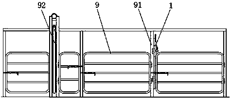 Fixing device for sampling cattle neck