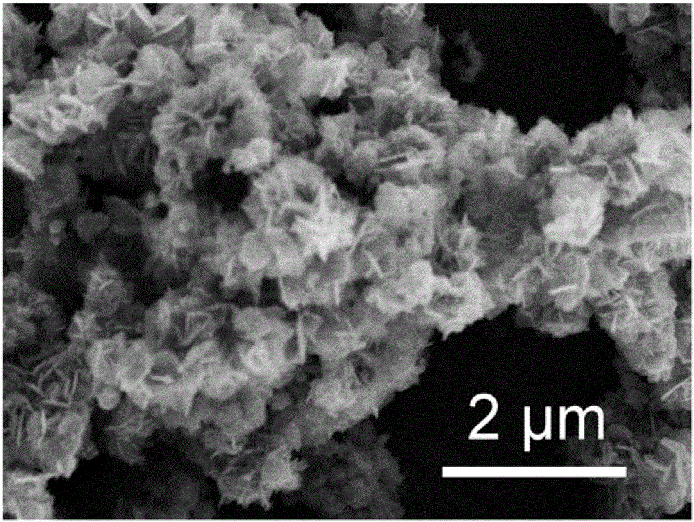 Preparation method of flaky Cu9Fe9S16 nanoflowers