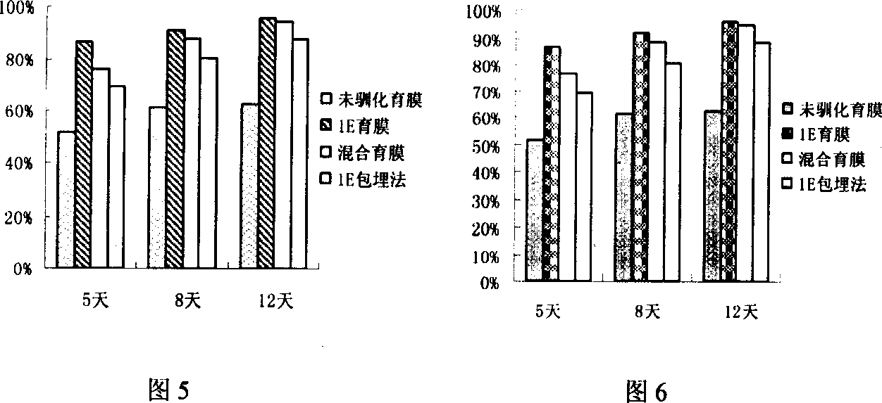 Ascendant bacterium and application for lead waste water treatment