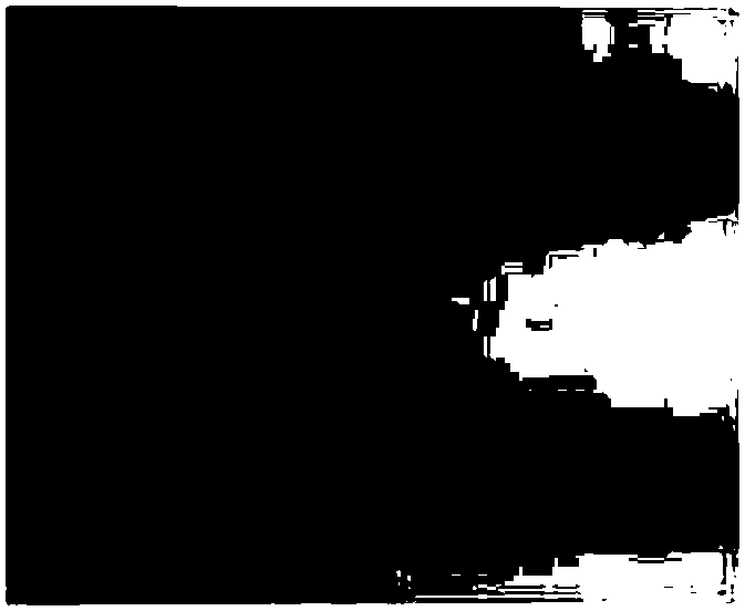 Method for high-efficiency expression of carboxypeptidase Y derived from actinomucor elegans