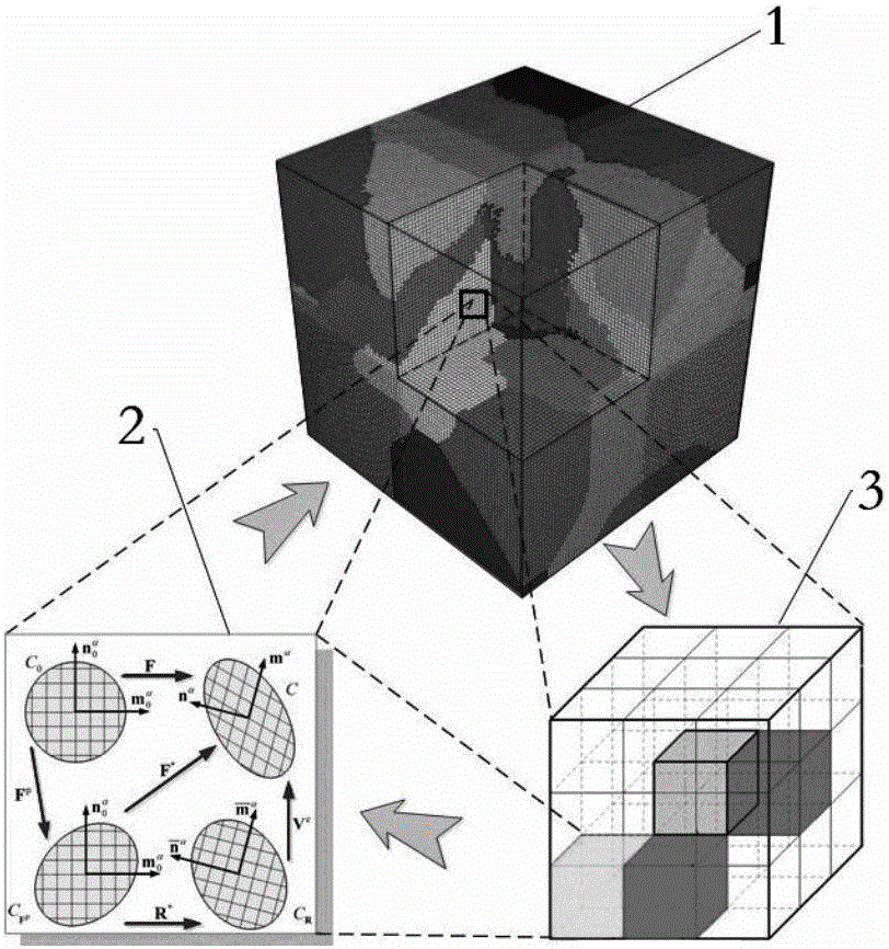 Method for predicting coupling responses of isothermal forming and dynamic recrystallization evolution of titanium alloys