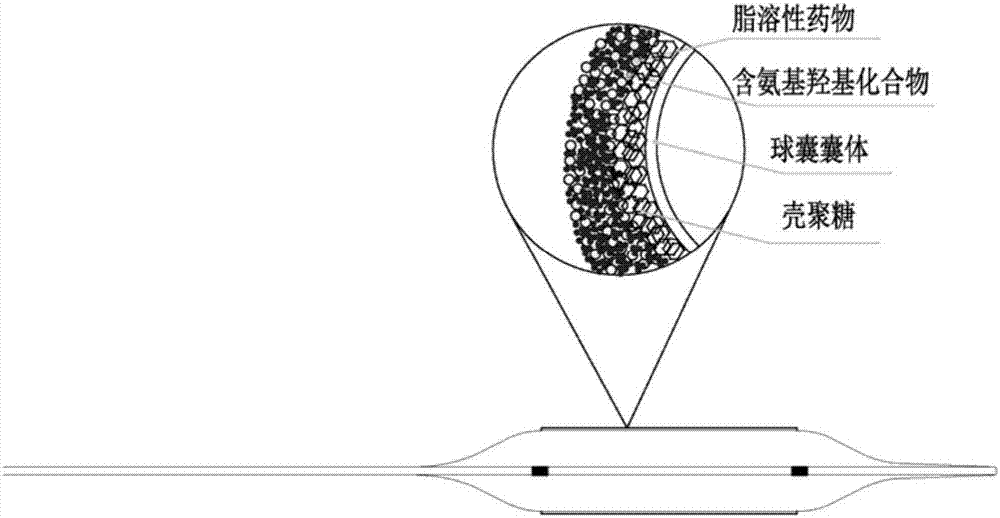 Preparation method of drug balloons as well as drug balloons prepared by preparation method and application thereof