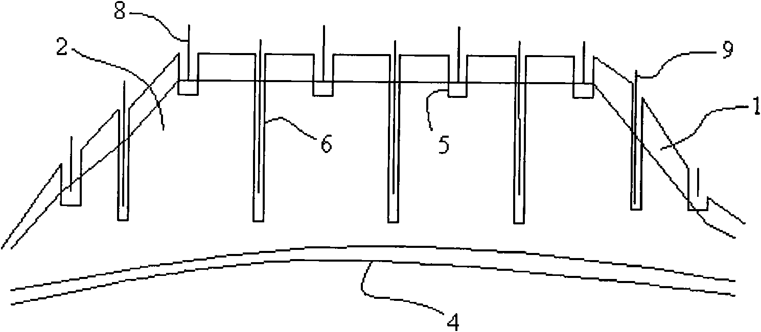 In situ leaching injection process