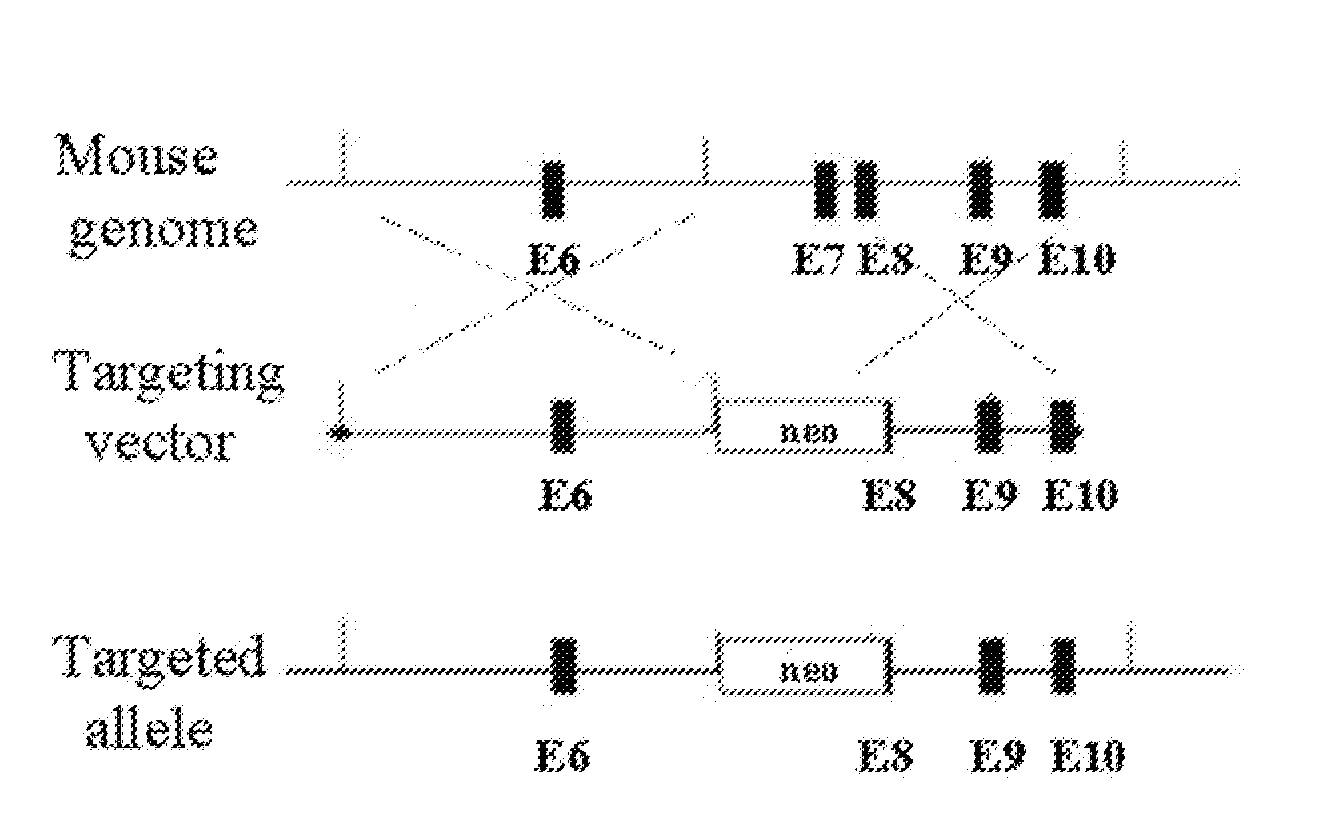 Methods and means for increasing resistance to cell damage