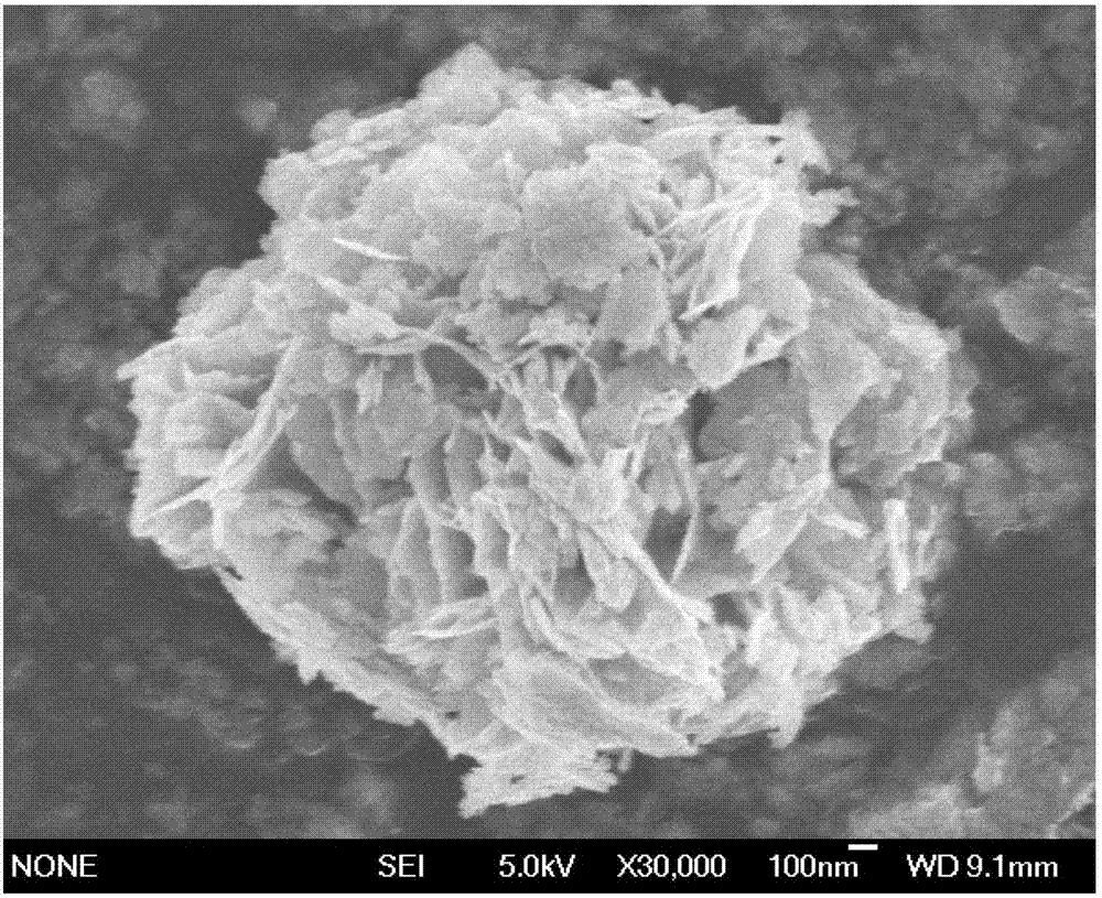 Method for treating methyl orange by utilizing ferriporphyrin/bismuth tungstate composite photocatalytic material