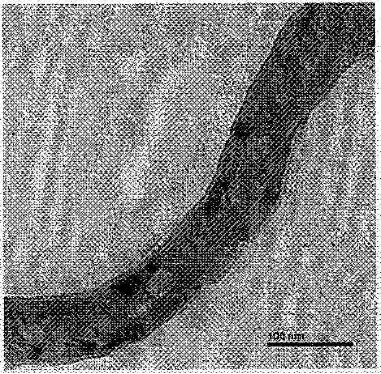 Method for preparing water-soluble cross-linked polymer grafted carbon nano tube