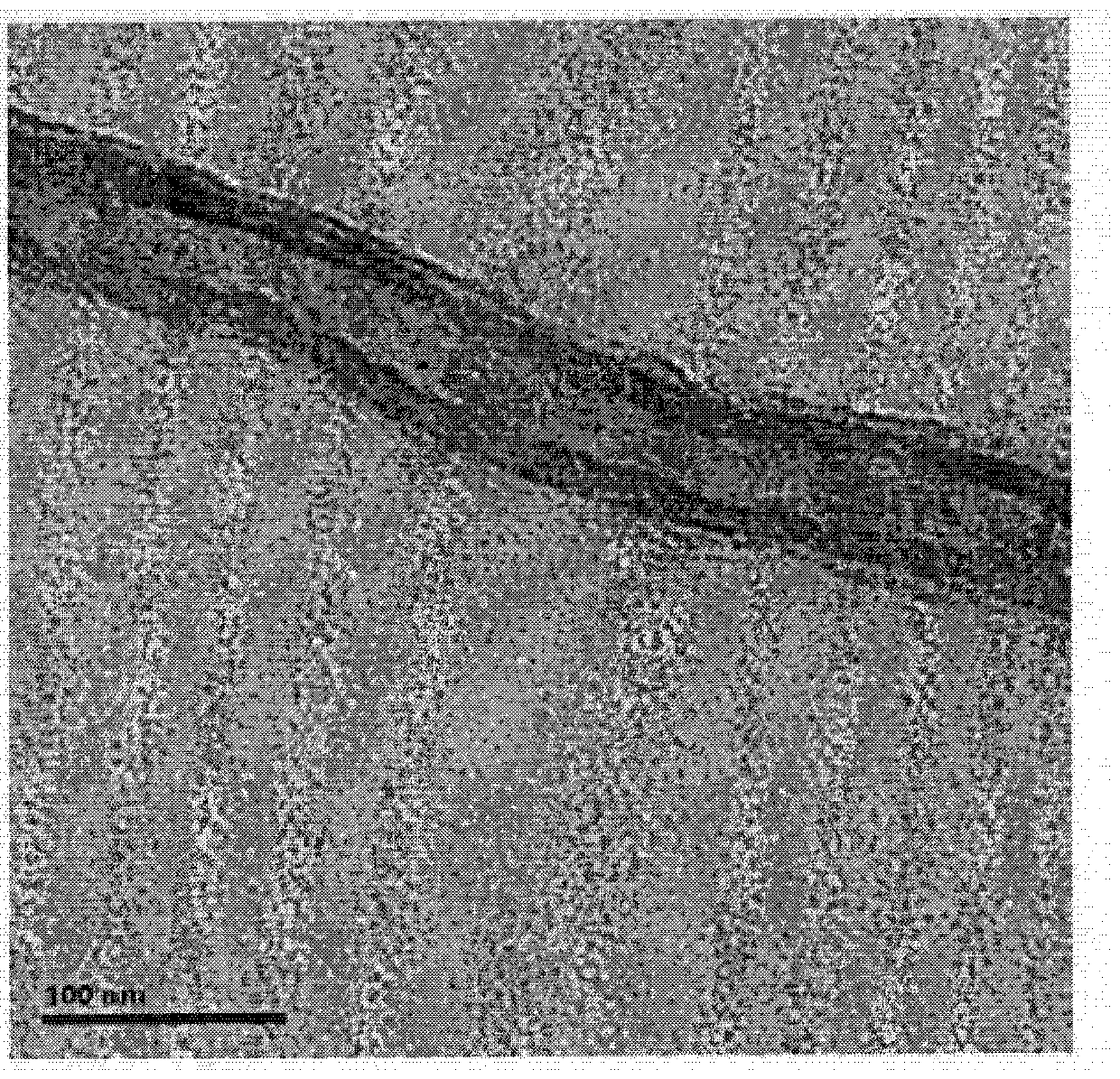 Method for preparing water-soluble cross-linked polymer grafted carbon nano tube