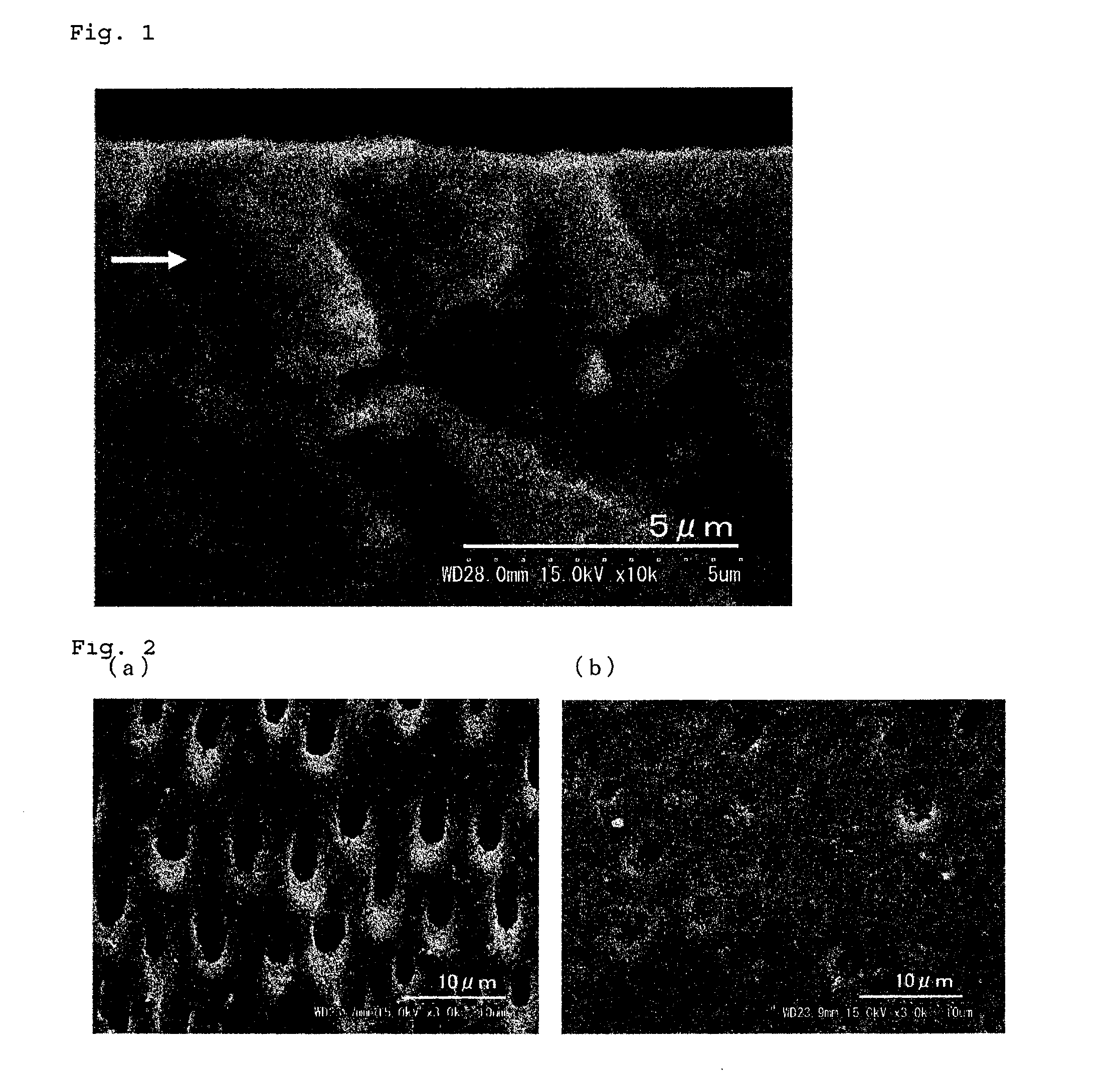 Dentinal tubule sealant and method for producing the same