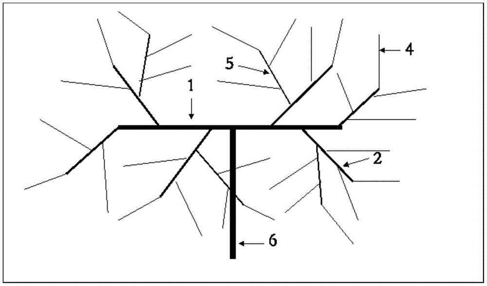 Kiwifruit fishbone-shape simple pruning method