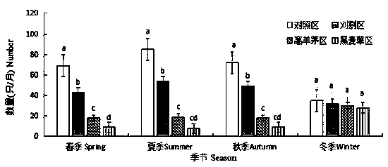 Method for regulating and controlling bird community characteristics at airport by adopting festuca arundinacea establishment