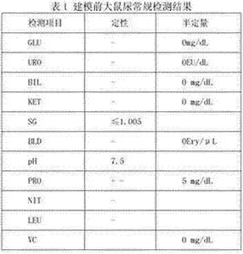 Construction method of Adriamycin nephropathy animal model