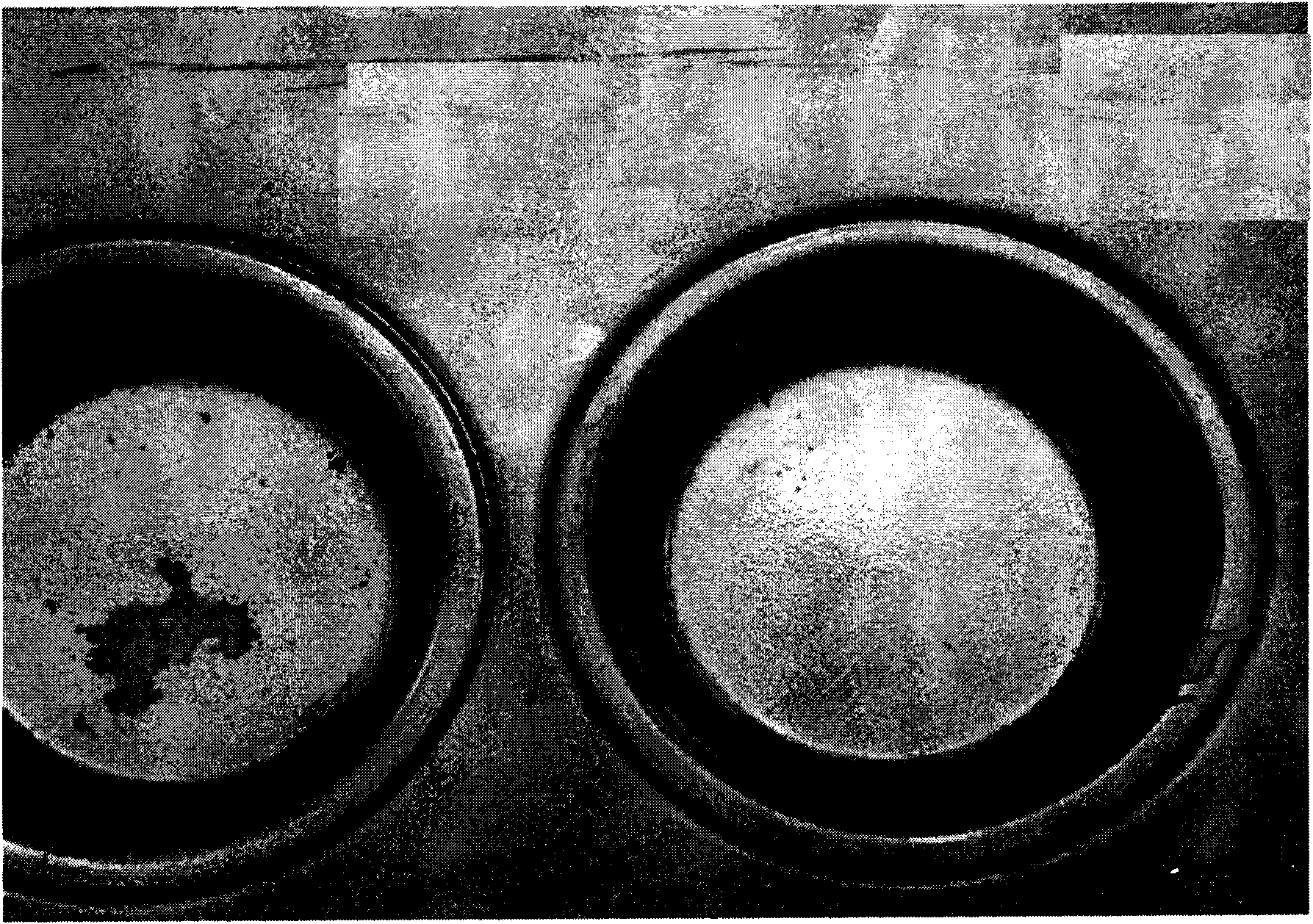 Mold release agent and preparation method thereof