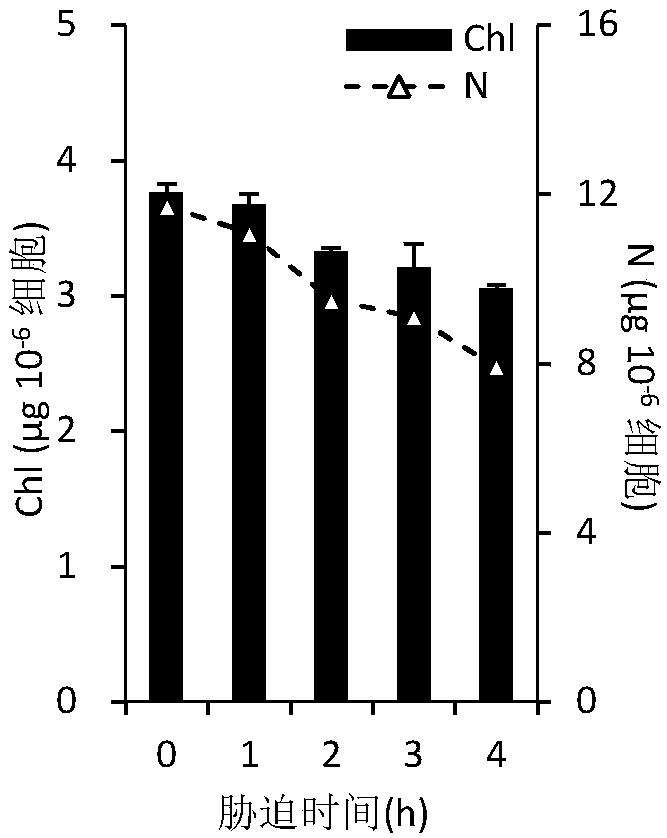 Method for extracting chloroplasts from Chlamydomonas reinhardtii