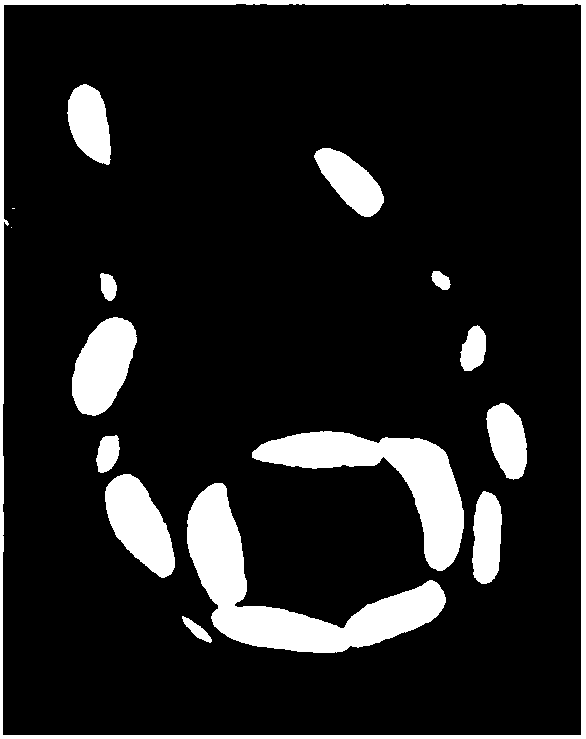 Method for extracting chloroplasts from Chlamydomonas reinhardtii