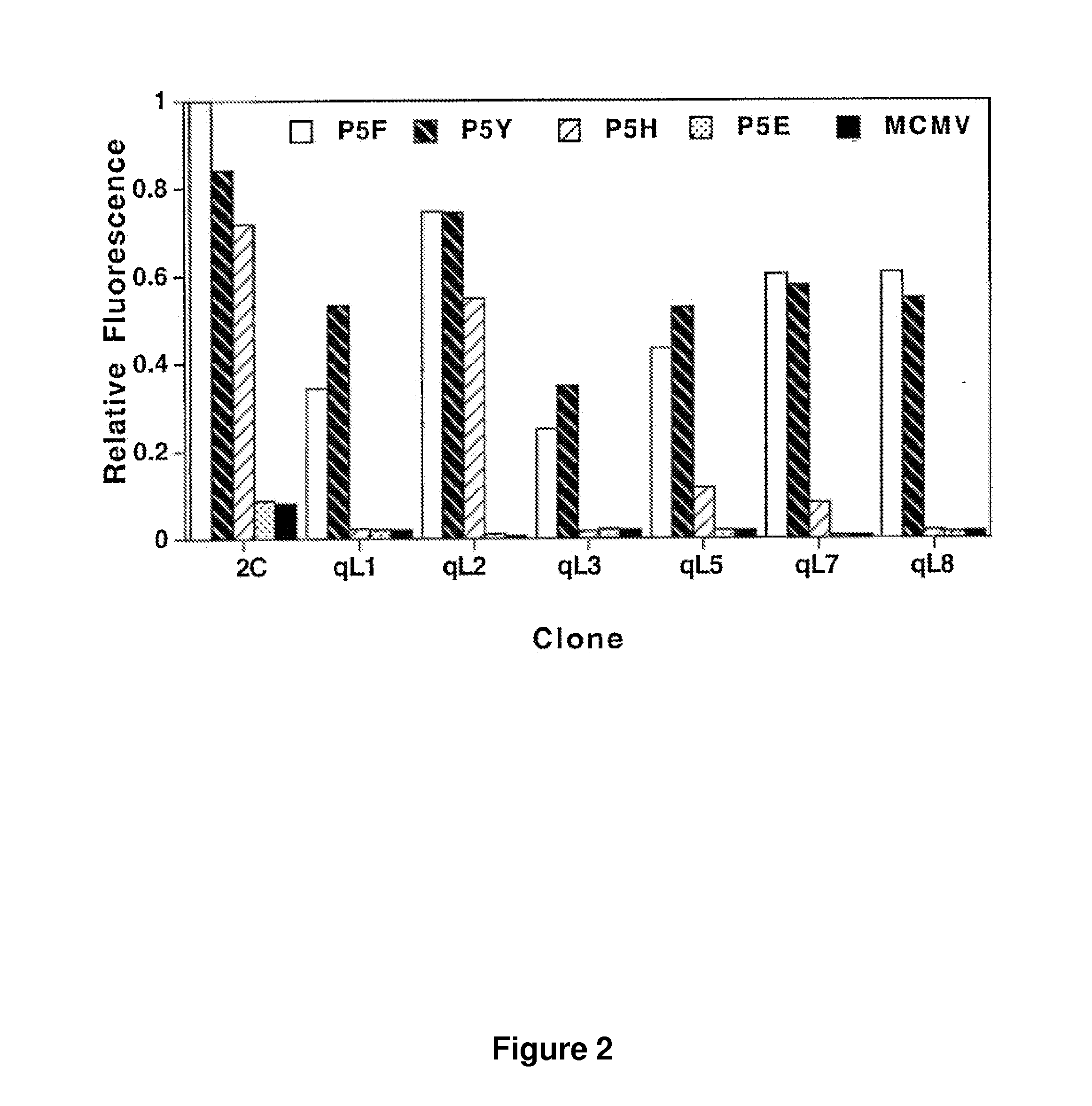 High Affinity TCR Proteins and Methods