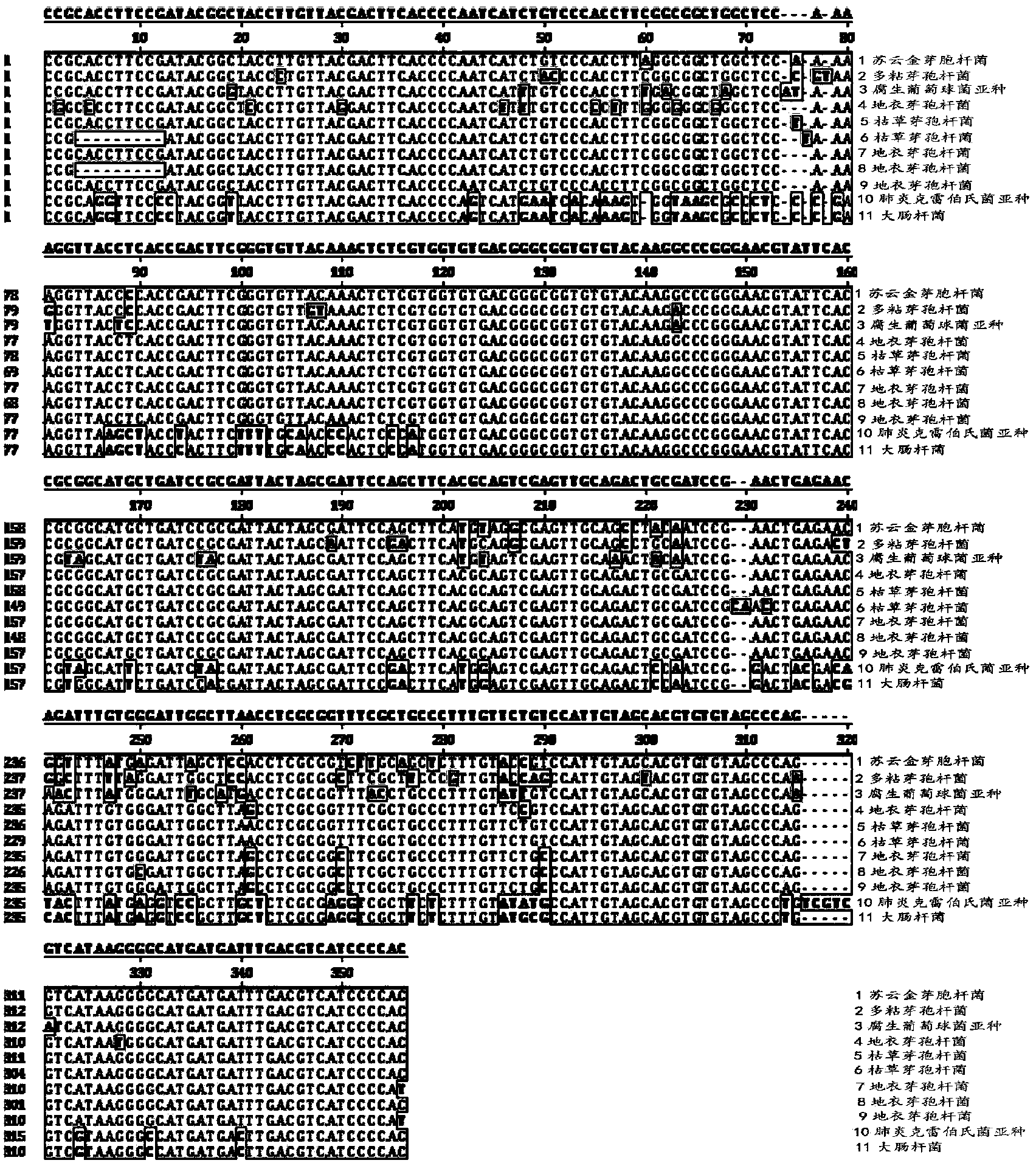 Separation and identification method of cow mastitis pathogens