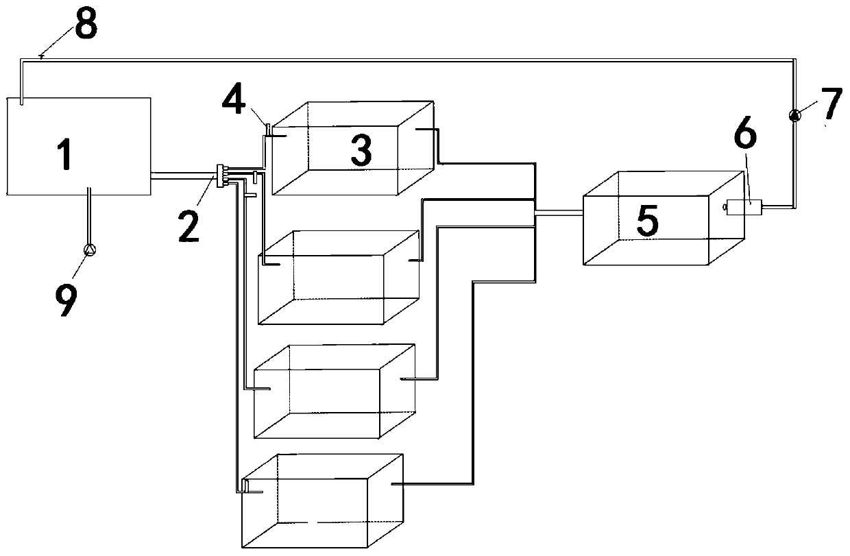 Method for continuously culturing tribonema