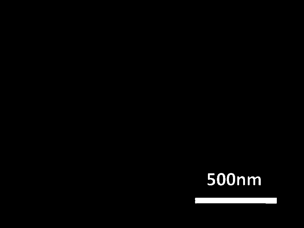 A core-shell structure composite particle SERS active substrate and preparation method thereof