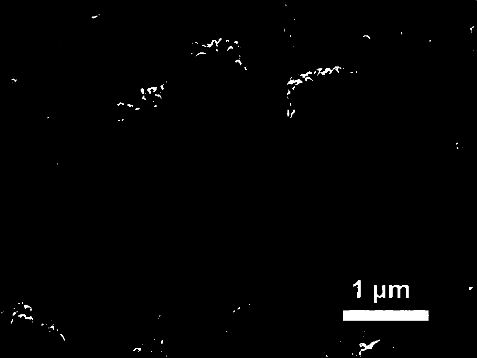 A core-shell structure composite particle SERS active substrate and preparation method thereof