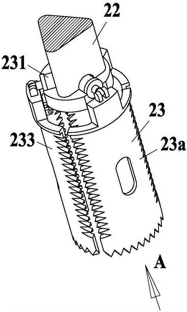 Radix angelicae pubescentis excavating and cutting treatment machine