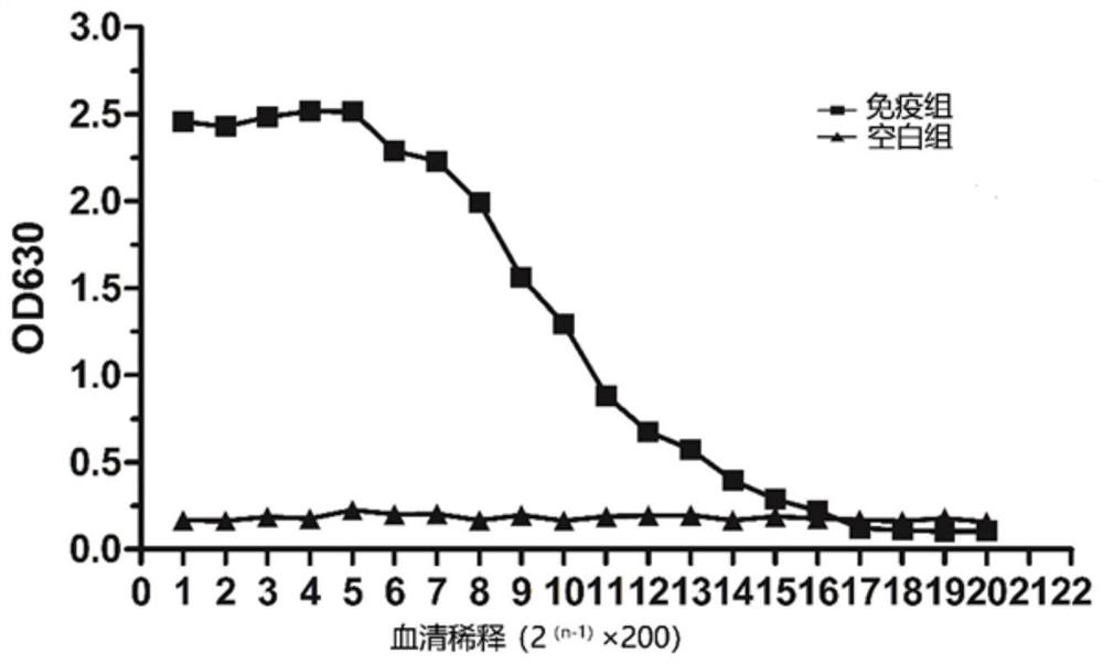 Mycoplasma bovis secretory protein MbovP0145 and application thereof