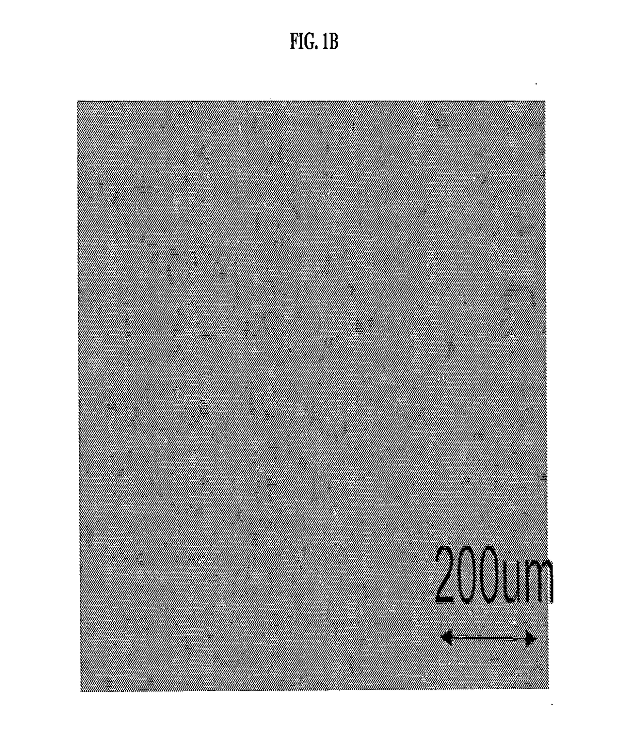 Monomer formulations and methods for 3D printing of preceramic polymers