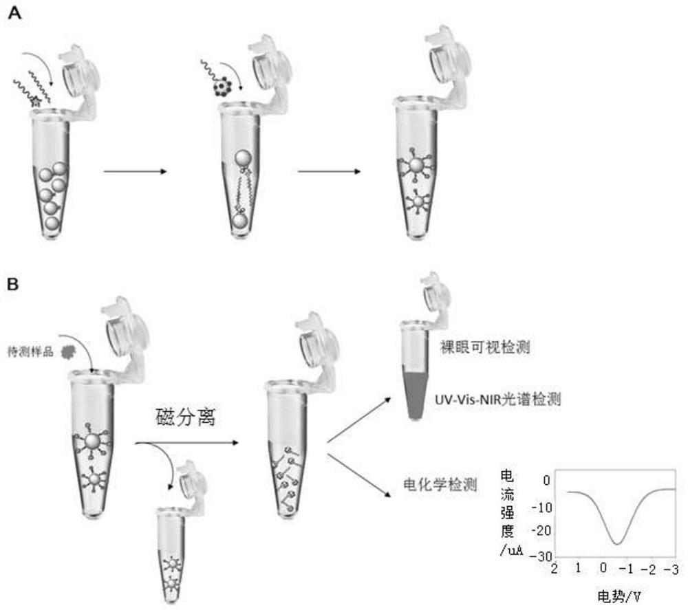 Biological/chemical detection reagents and detection methods based on hollow gold nanoparticles-DNA complexes