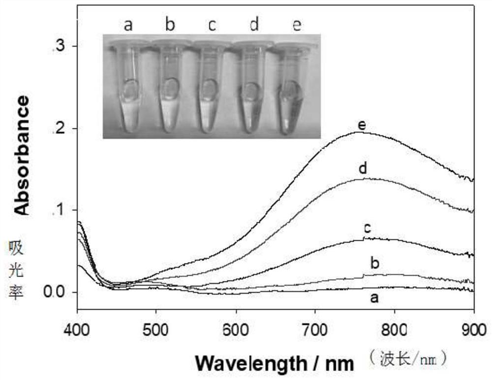 Biological/chemical detection reagents and detection methods based on hollow gold nanoparticles-DNA complexes