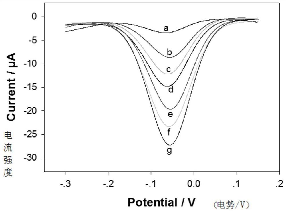 Biological/chemical detection reagents and detection methods based on hollow gold nanoparticles-DNA complexes