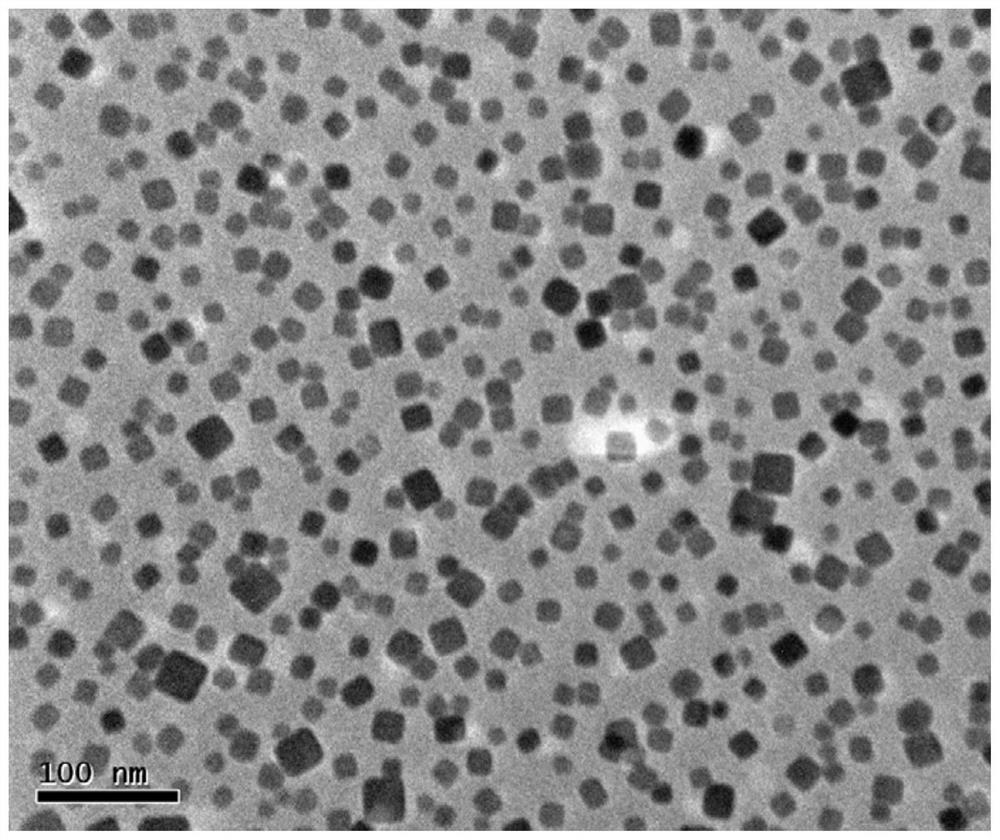 A nano-biosensor using fluorescence detection and its preparation method and application