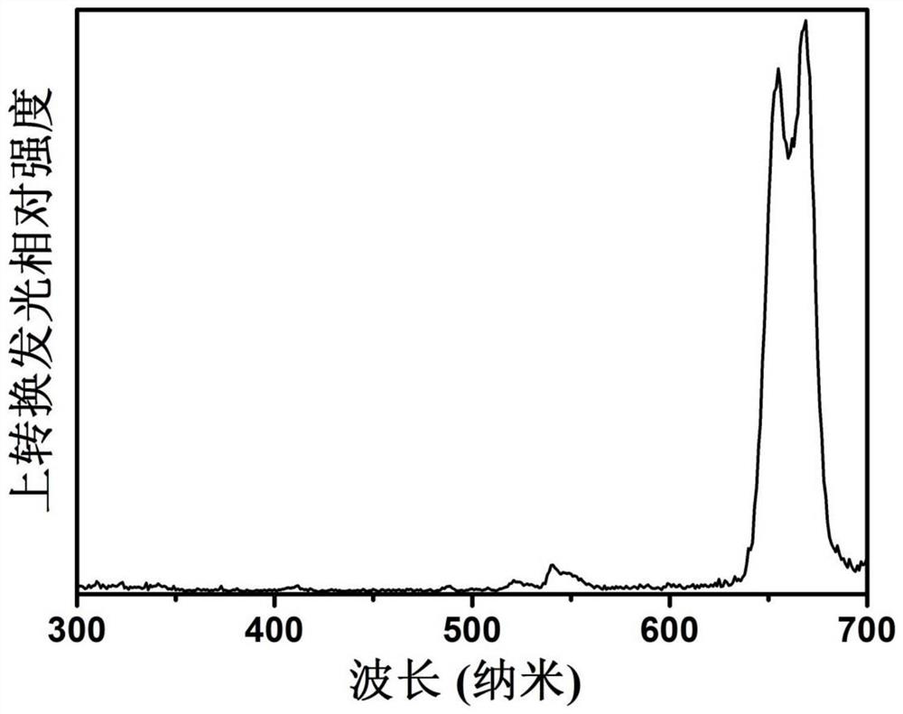 A nano-biosensor using fluorescence detection and its preparation method and application