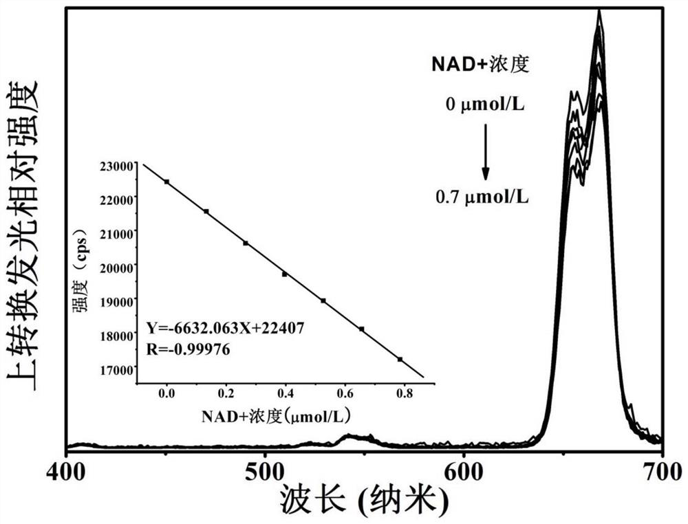 A nano-biosensor using fluorescence detection and its preparation method and application