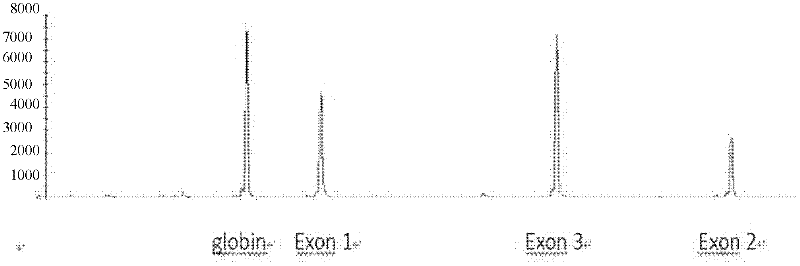 Kit for diagnosing Von Hippel-Lindau (VHL) disease