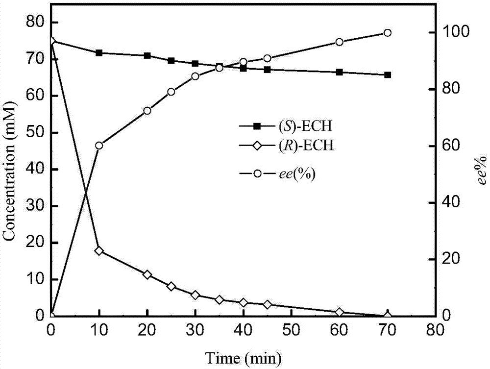 Epoxide hydrolase mutant, engineering bacteria and application of epoxide hydrolase mutant