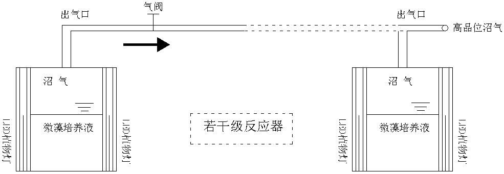 Method capable of simultaneously purifying biogas slurry and enhancing biogas grade