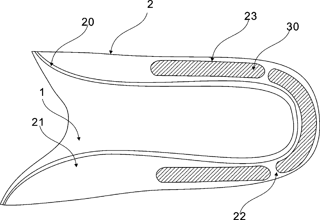 Hooked insole support and insole