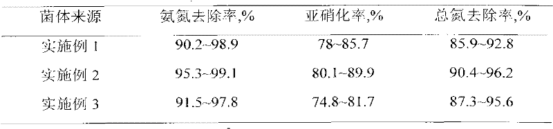 Culture system of function strengthened microbe and directional concentration method