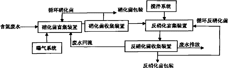 Culture system of function strengthened microbe and directional concentration method