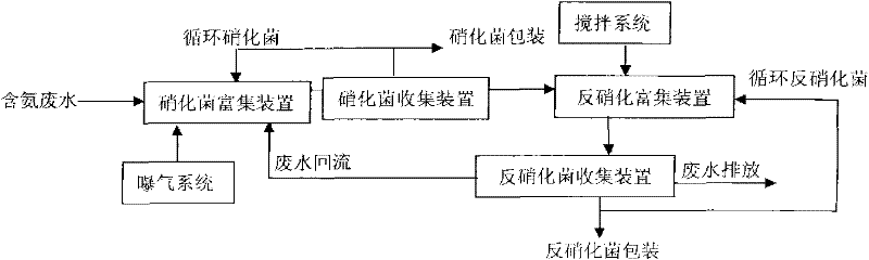 Culture system of function strengthened microbe and directional concentration method