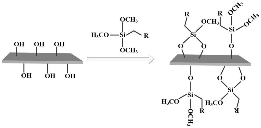 A Hydrophobic Modified Black Talc Based Composite Pervaporation Membrane and Its Application