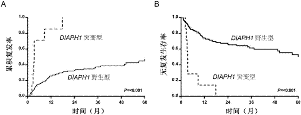 Prognostic risk assessment marker for B-ALL (acute lymphoblastic leukemia) patient