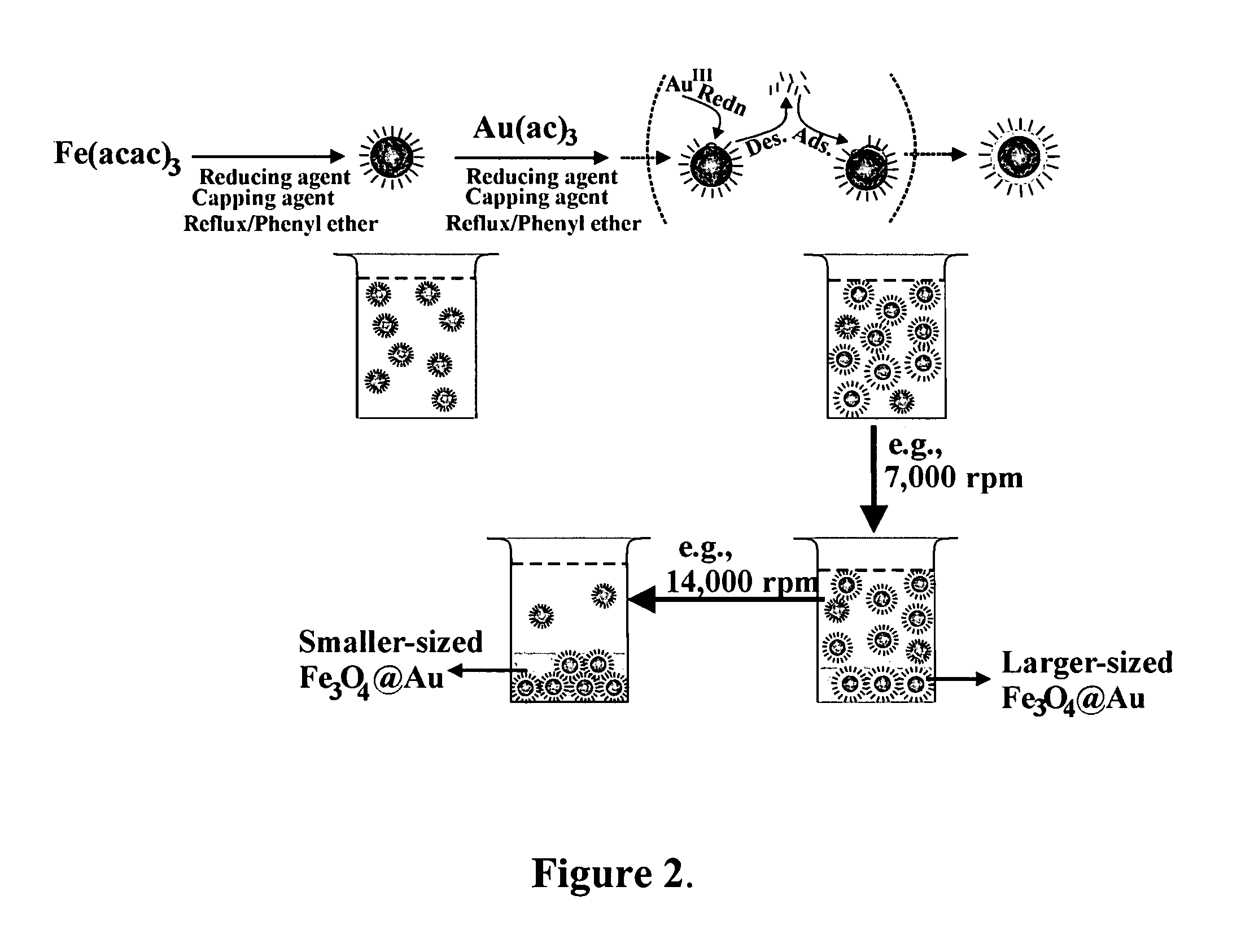 Method of forming iron oxide core metal shell nanoparticles