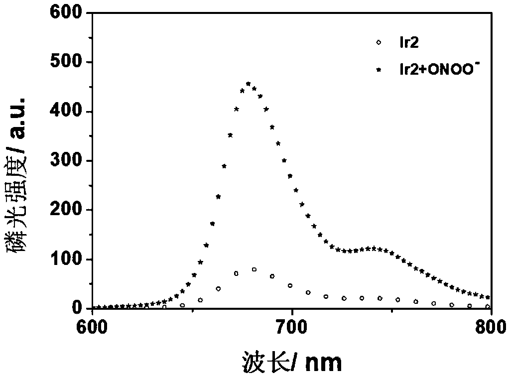 Phosphorescent polymer probe capable of detecting peroxynitrite by using ratio method and preparation method and application thereof