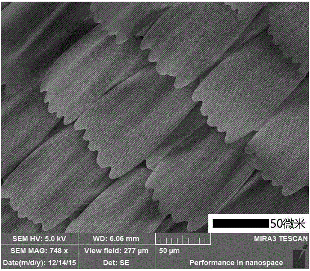 Preparation method of TiO2 nanoparticles with photonic crystal characteristics