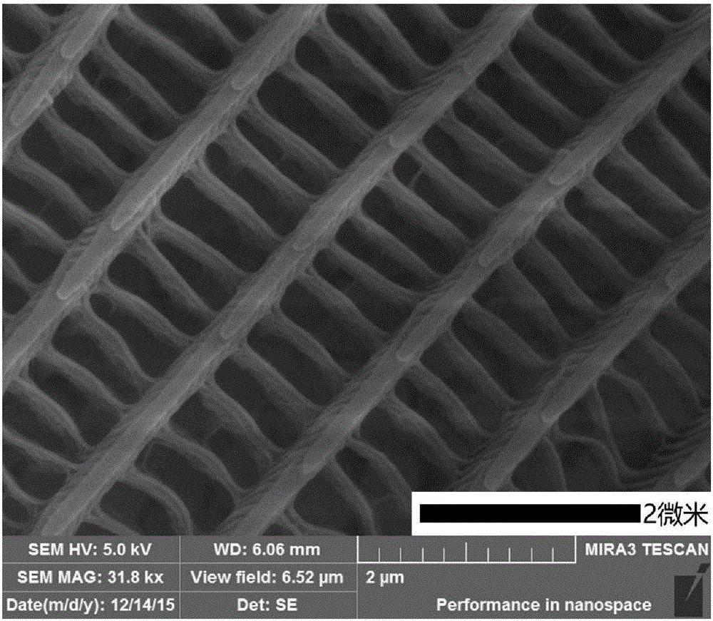 Preparation method of TiO2 nanoparticles with photonic crystal characteristics