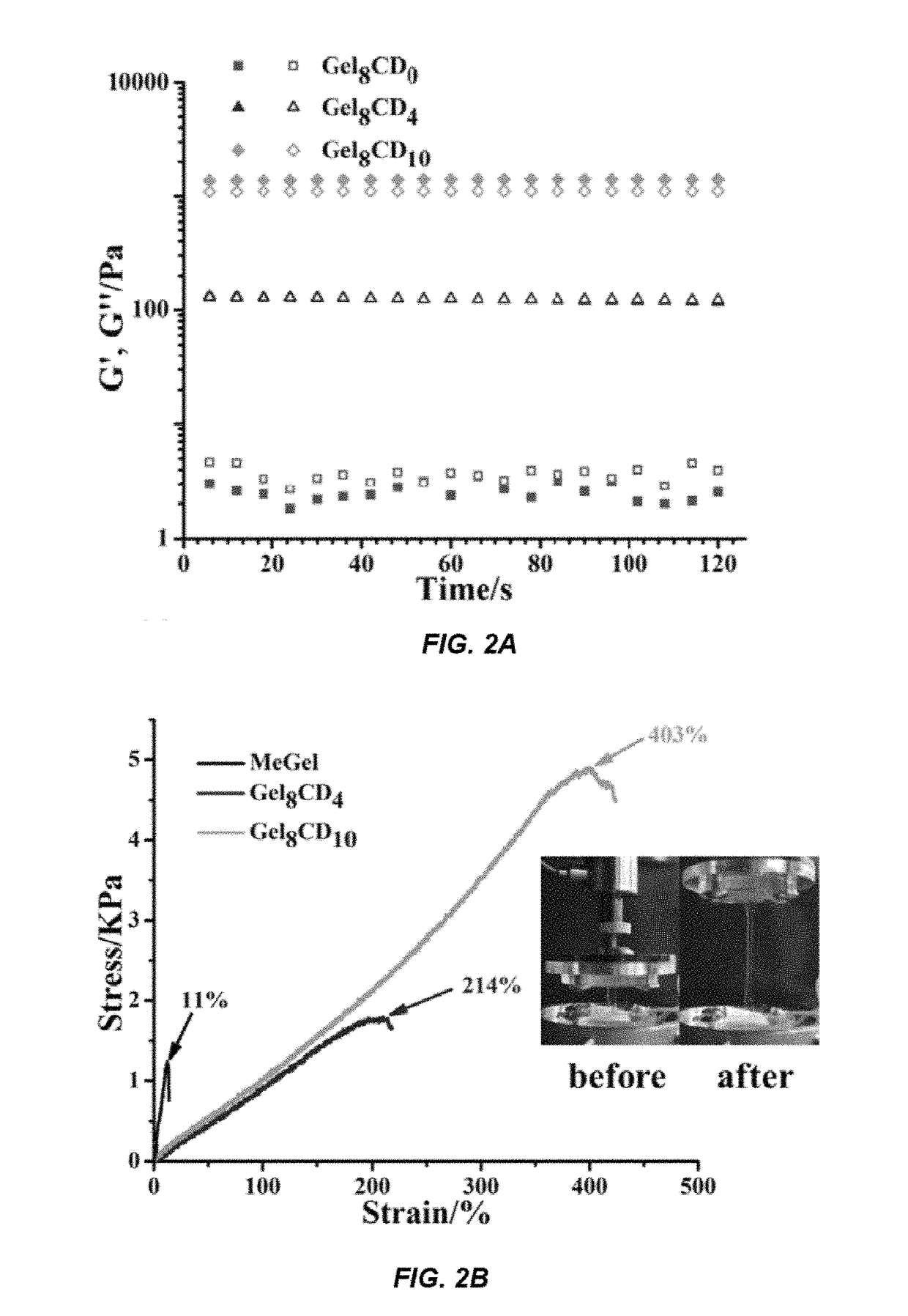 Bioadhesive and injectable hydrogel