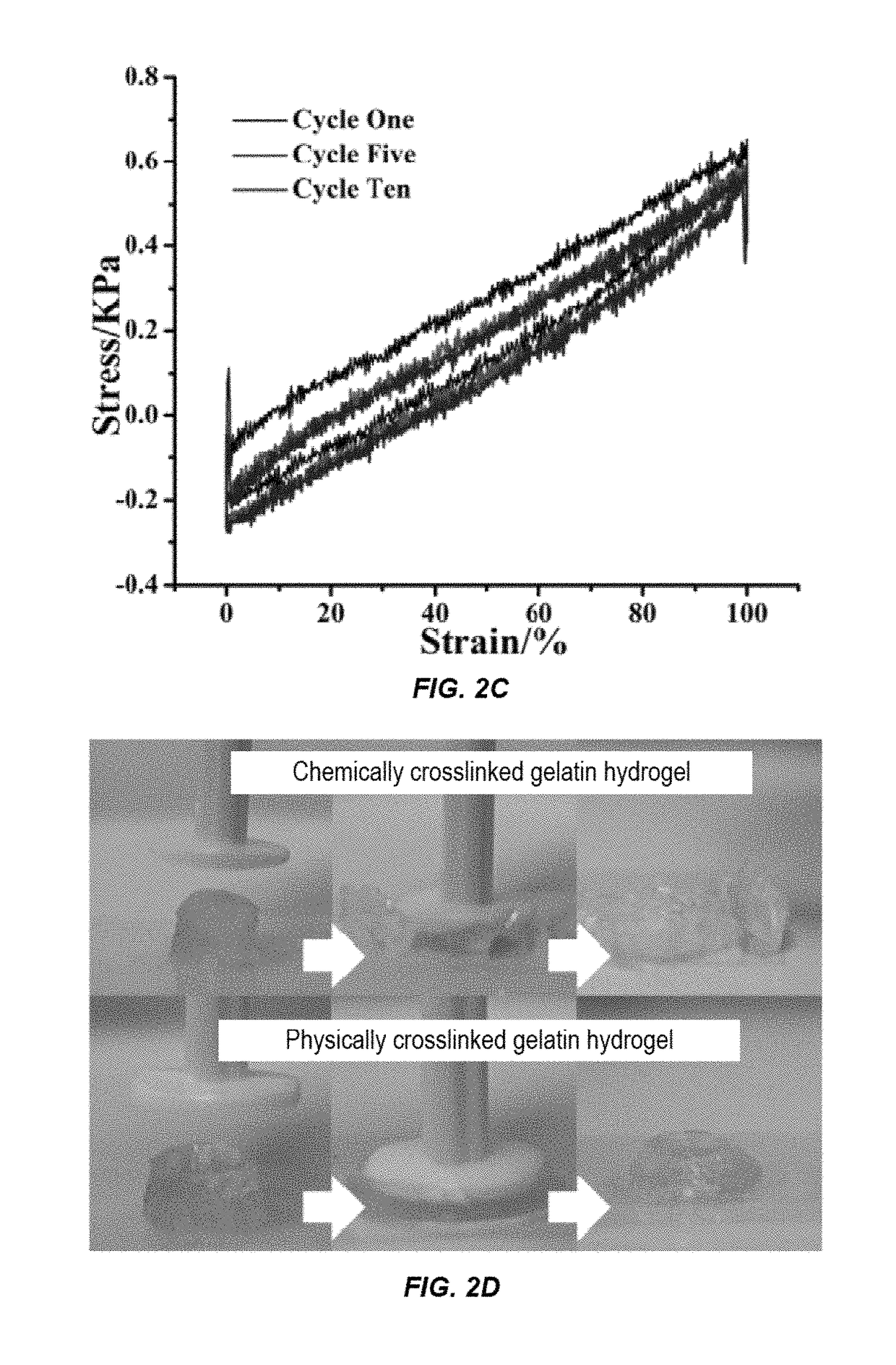 Bioadhesive and injectable hydrogel