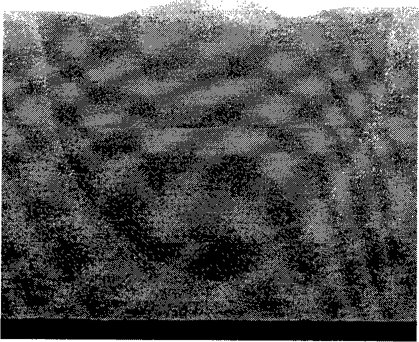 Active welding method and activating agent for aluminum and aluminum alloy