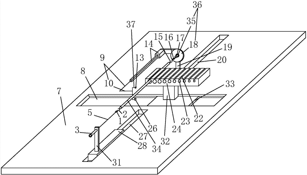 Ligament Reconstruction Collection Graft Tendon Braided Device